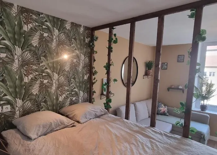 New Jungle Studio Coeur De Ville