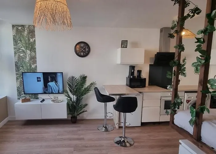 New Jungle Studio Coeur De Ville