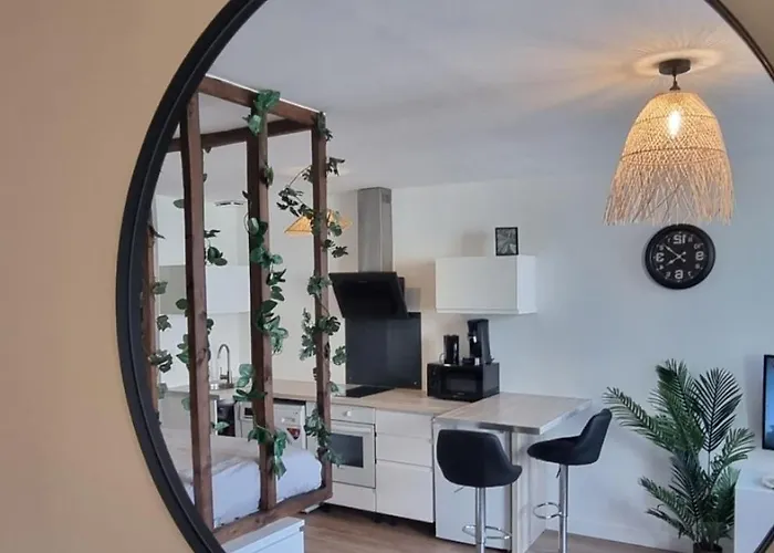 New Jungle Studio Coeur De Ville