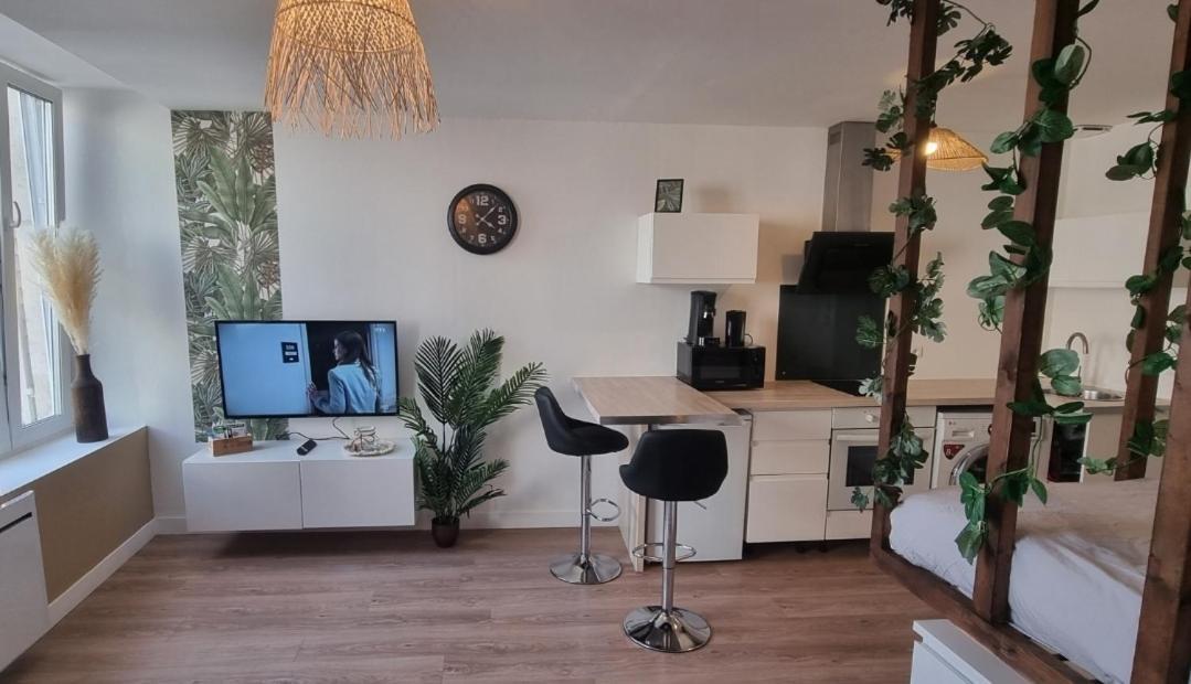 Apartment New Jungle Coeur De Pont-a-Mousson